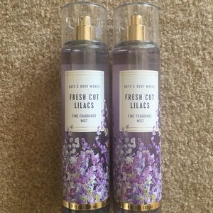 Two Fresh Cut Lilac Mists
